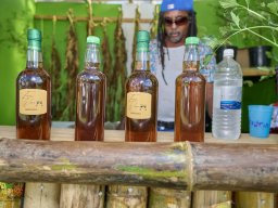 Cannabliss Events